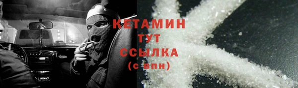 ПСИЛОЦИБИНОВЫЕ ГРИБЫ Туринск