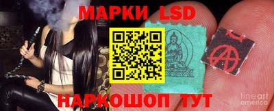 прущие крисы Камышлов