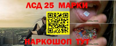 PSILOCYBIN Канаш