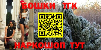 прущие крисы Камышлов