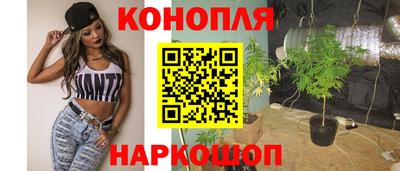 прущие крисы Камышлов