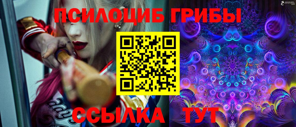 Галлюциногенные грибы мицелий Реж
