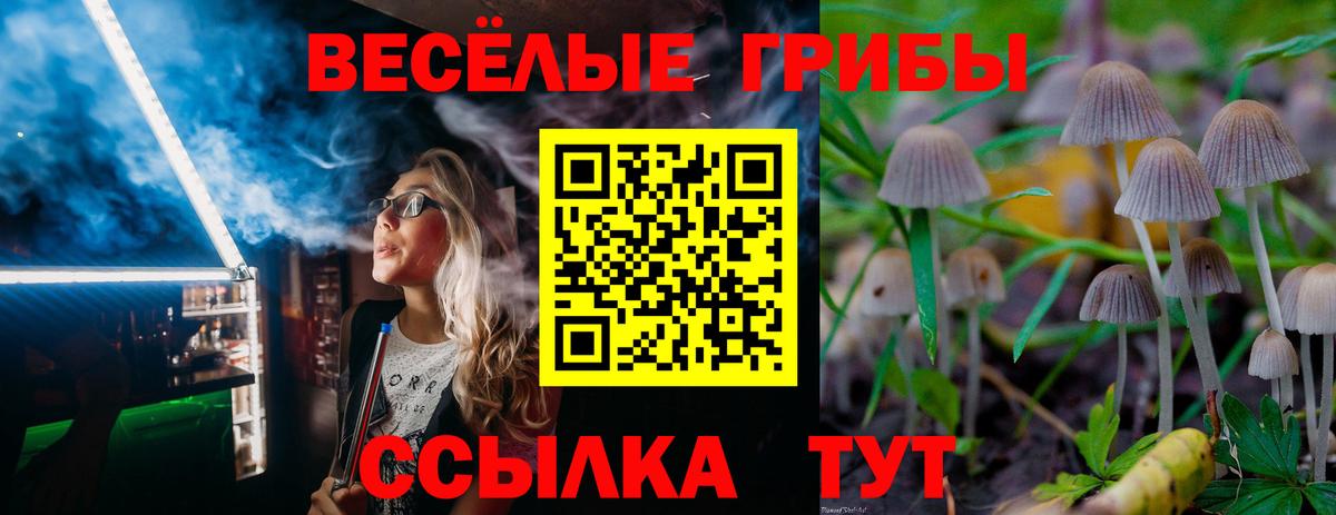 Реж  Псилоцибиновые грибы прущие грибы  Галлюциногенные грибы GOLDEN TEACHER  Вход с VPN 